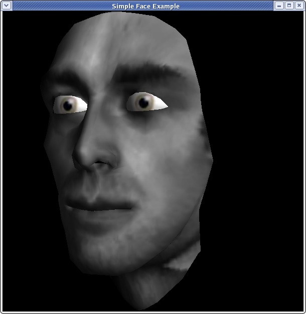 3D face mesh